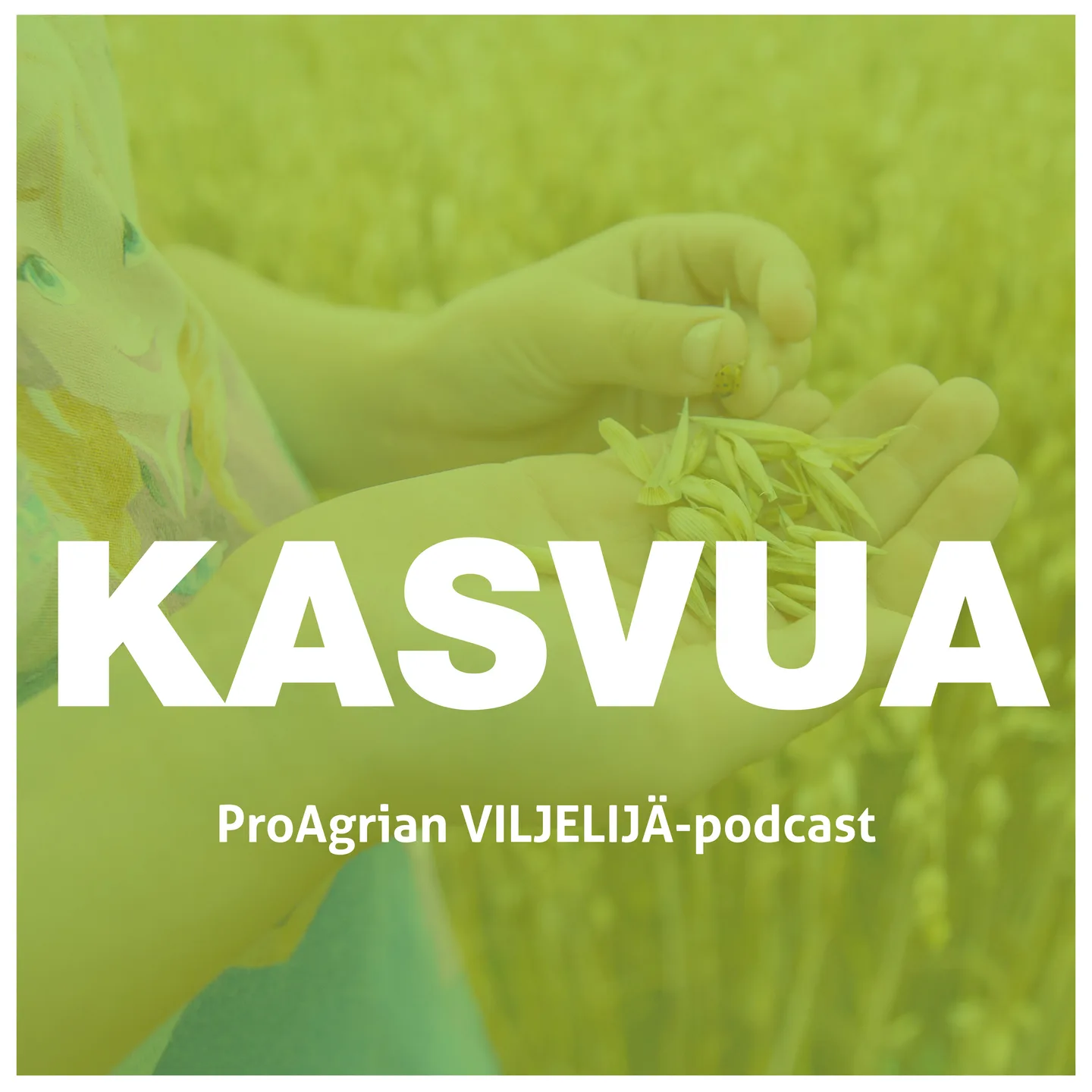 Kasvua kuva