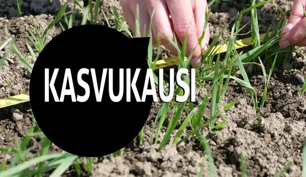 Kasvukausipodcastnettiartikkeli 0