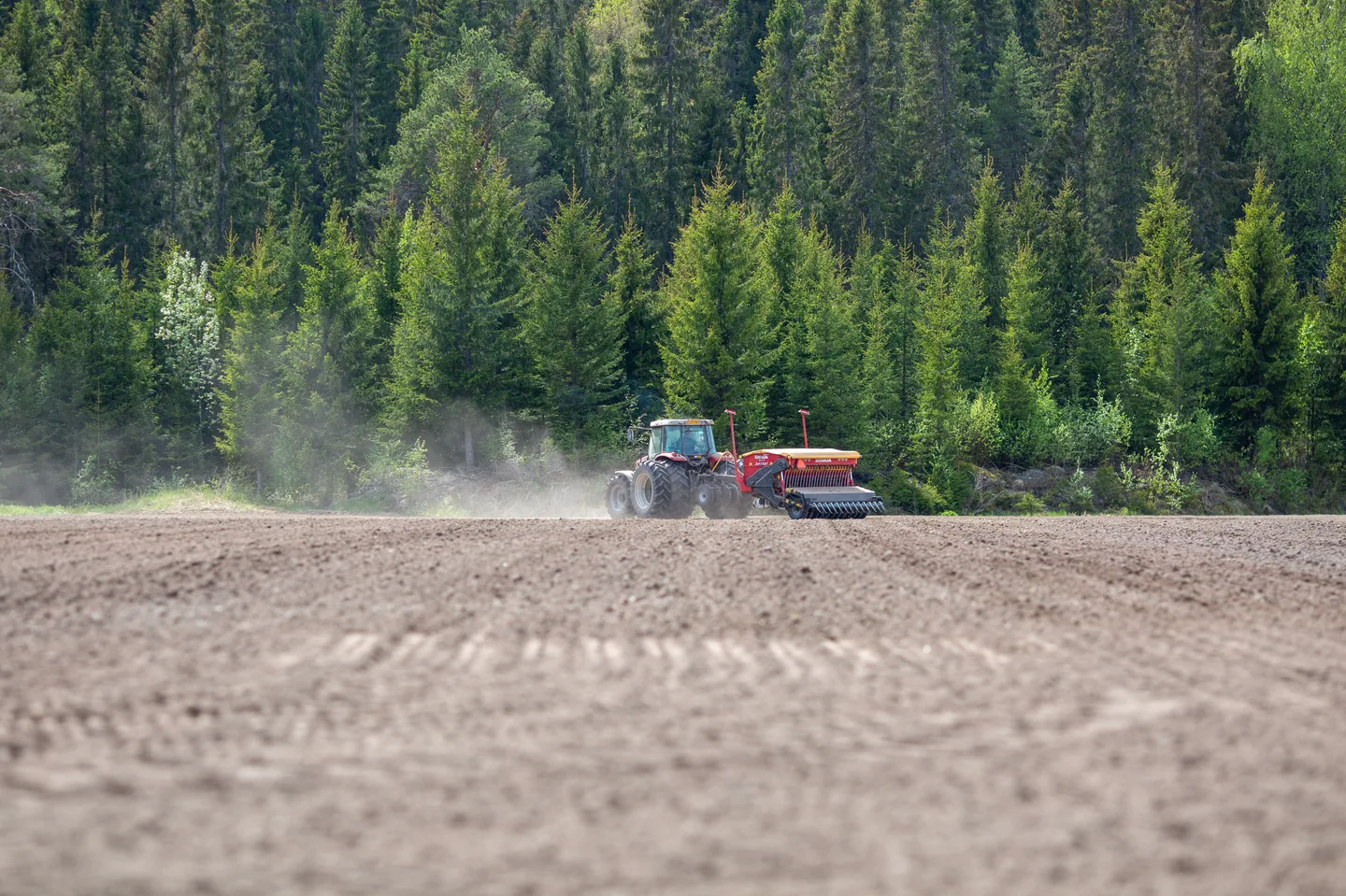 Kasvutilanne 26042022