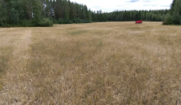 Kasvutilannekatsaus 1 9 artikkeli uutinen