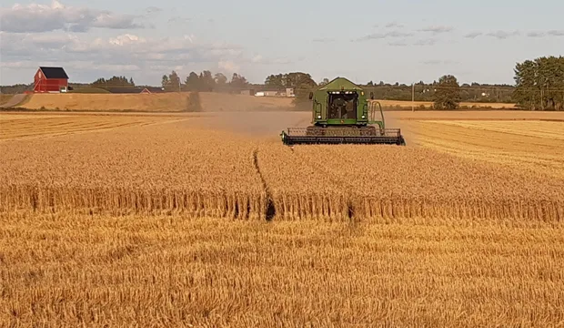 Kasvutilannekatsaus 16 9 artikkeli uutinen