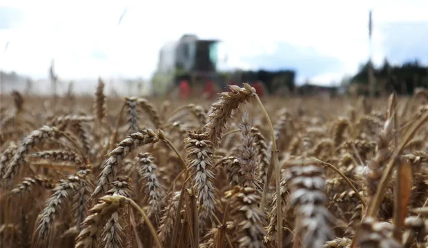 Kasvutilannekatsaus 18 8 artikkeli uutinen