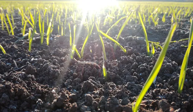 Kasvutilannekatsaus 6 5 artikkeli uutinen