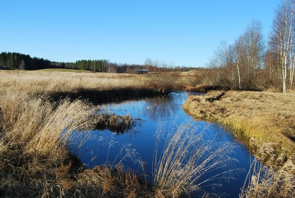 Kijanjarvi