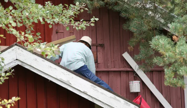 Kuva: Riitta-Liisa Pettersson