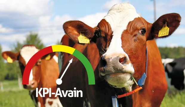 Kpi artikkelikuva