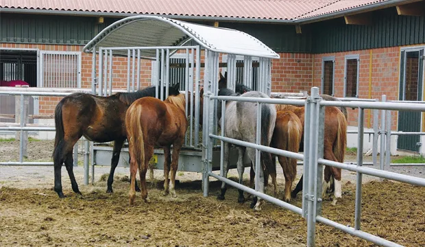 Kunkkarit artikkeli uutinen