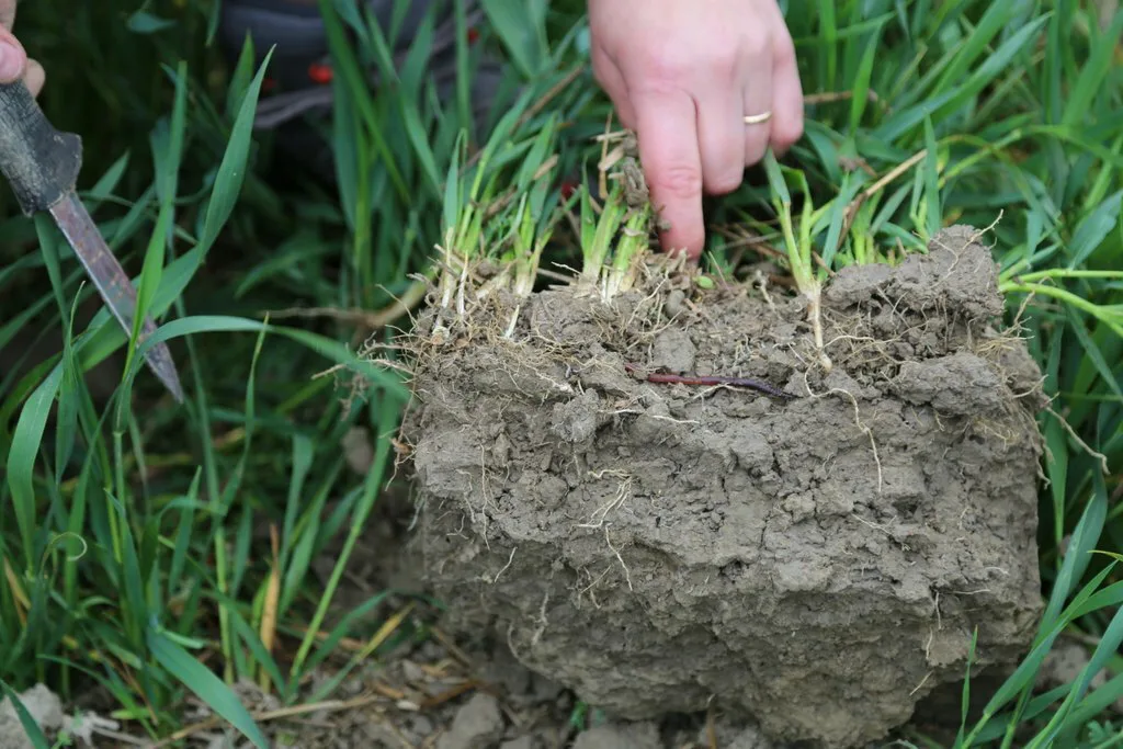 Kuoppatesti paivi meronen