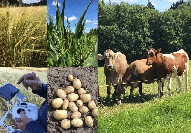 Kuvakollaasi luomu2 1