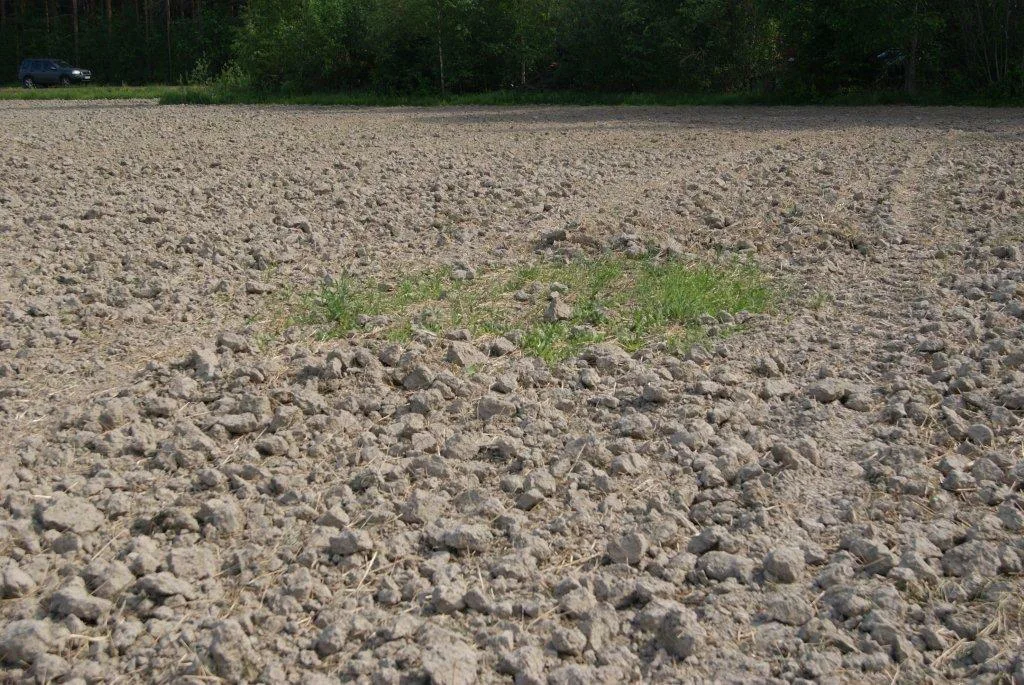 Yläosassa on myös hiesua, josta on viimeisimmät kuvat. Hiesu on jäänyt hyvinkin kokkareiseksi Kvick – upin voimakkaasta käsittelystä huolimatta. Joillakin paikoilla kone oli noussut pintaan. Lohko oli hyvin kuiva käsittelyn aikana.