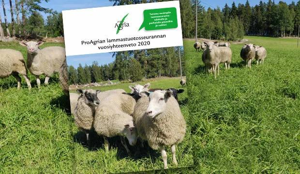 Lammastuotosseurantatulokset2020 nettisivuuutinen