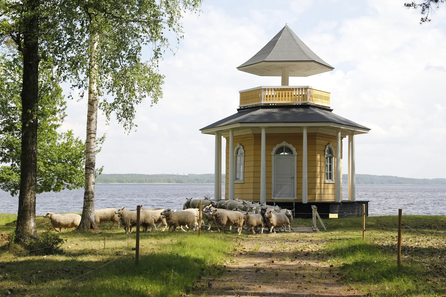 Lampaat saaren kartanon mailla