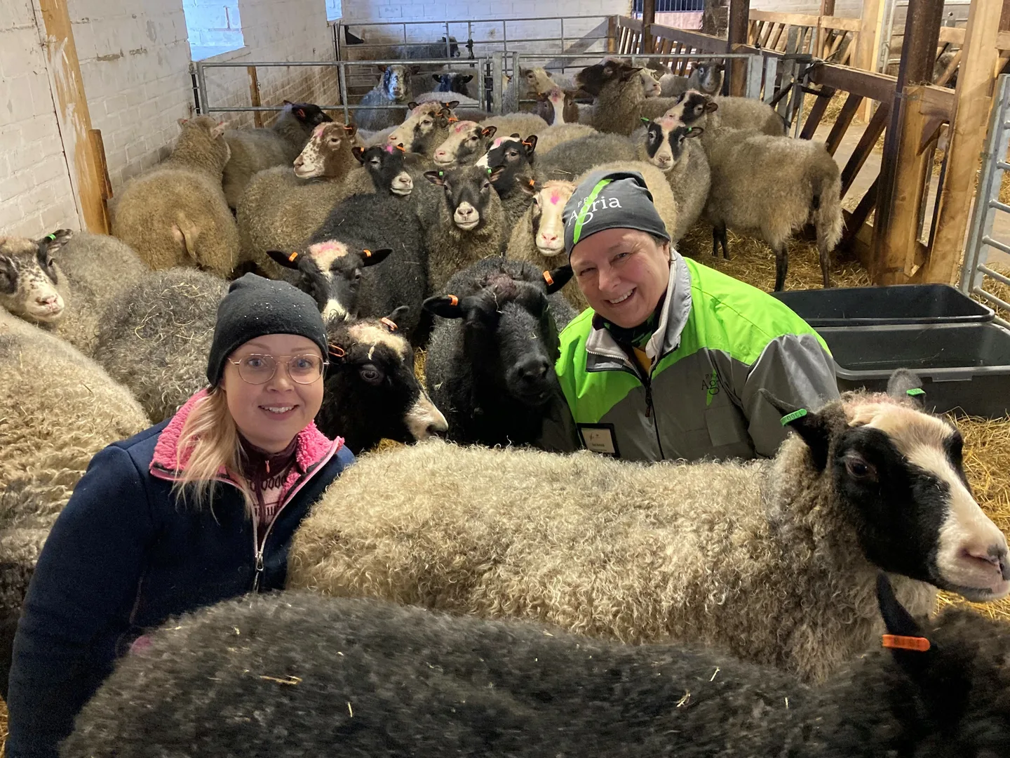 Lampuri tiina hirvonen ja asiantuntija sari heltela 0