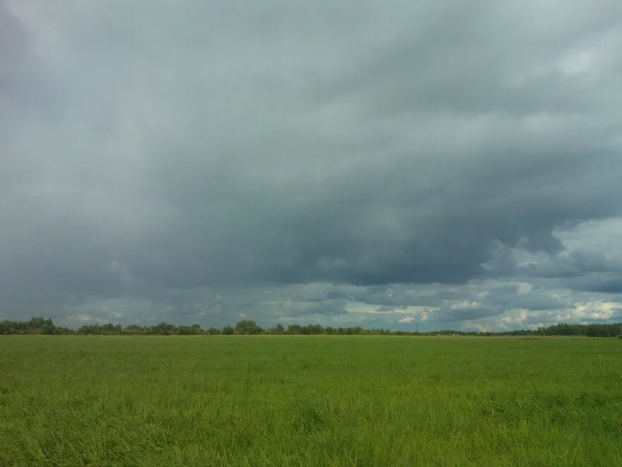 Harmaa taivaanranta on ollut vallitseva näky tänä kesänä. (Kuva Leila Laine)