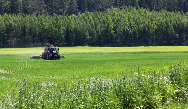 Lietteenlevitys proagria essijokela nettiartikkeli