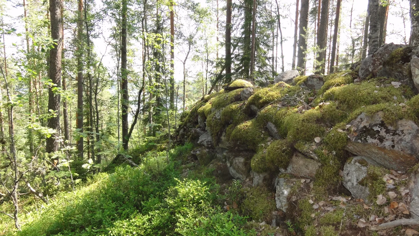 Tämän kivivalli Pisamalahden linnavuorella Sulkavalla on rakennettu ehkä jo rautakaudella suojaamaan vihollisen hyökkäykseltä. Kuva:Leena Lahdenvesi-Korhonen