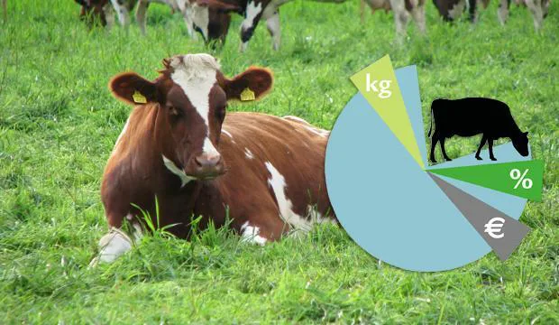 Maidontuotannon tulosseminaari 2022