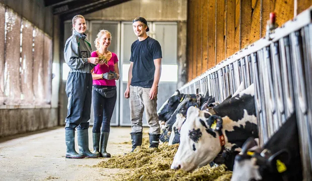 Maitotulokset2020 nettiartikkeli