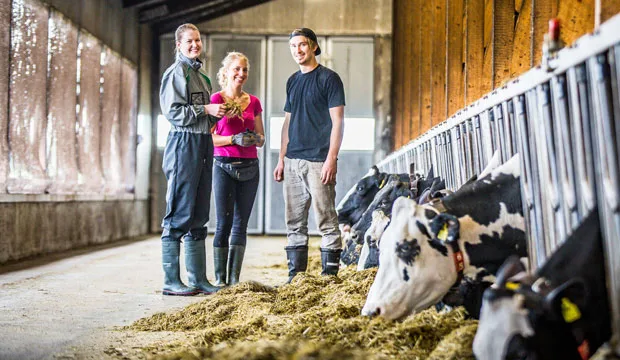 Maitotuloksetartikkeli