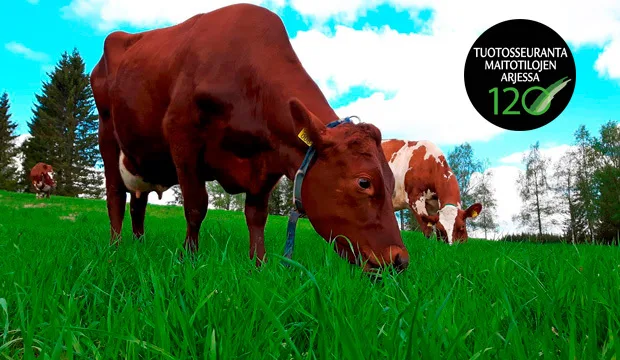 Maitovalmennus2018artikkeliuutinent120