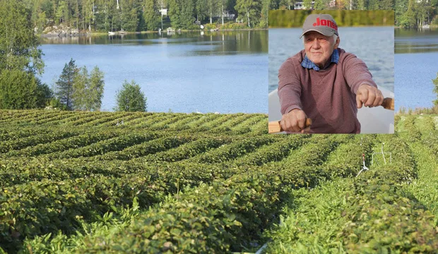 Ensimmäinen kesä ulkomaisten poimijoiden työnantajana on takana. Kiireisimmän sesongin jälkeen Esko Väisänen rauhoittuu vesillä.