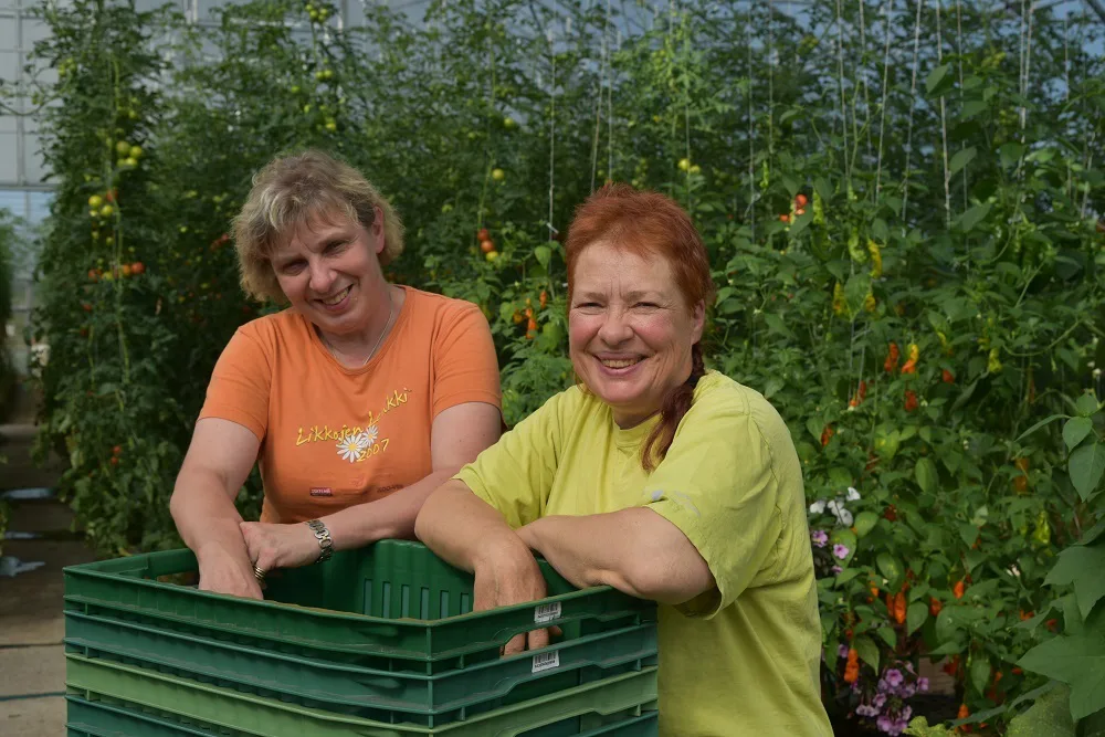 Marittan kasvitarha netti