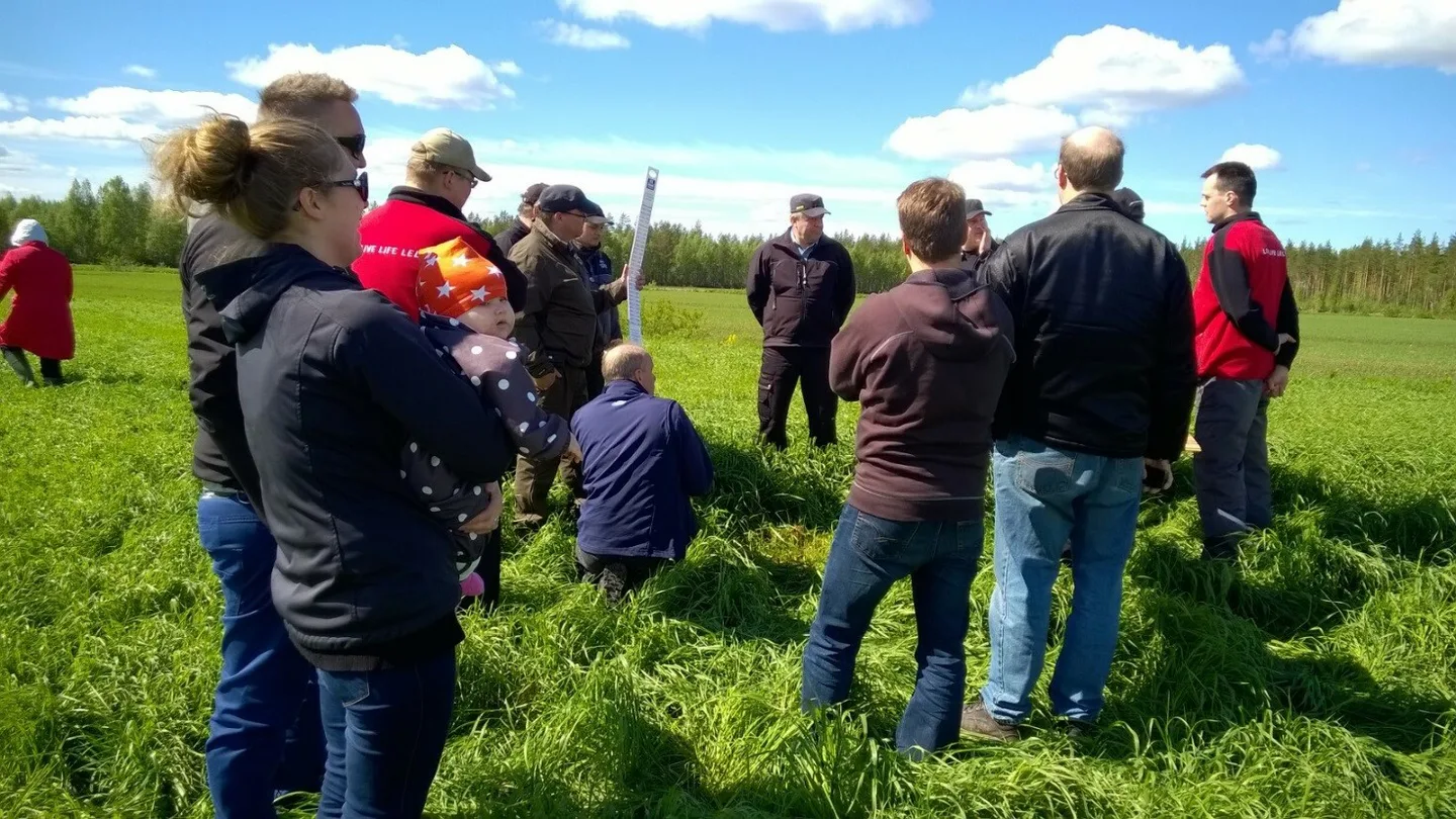 Sadon määrää arvioitiin leikkaamalla sekä tiheyden ja pituuden kautta