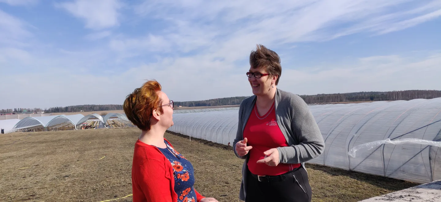 Tarja Matomäki (oik.) ja talousasiantuntija Maarit Syrjälä Mattilan marjatilalla.