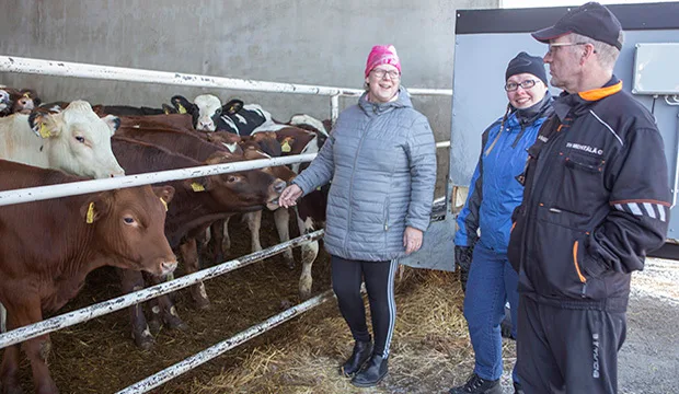 Heli (vasemmalla) ja Timo Mehtälä sekä kotieläinasiantuntija Sanna Suomela tapaavat säännöllisesti ja pohtivat muun muassa tuotantoon ja eläinten hyvinvointiin liittyviä asioita.