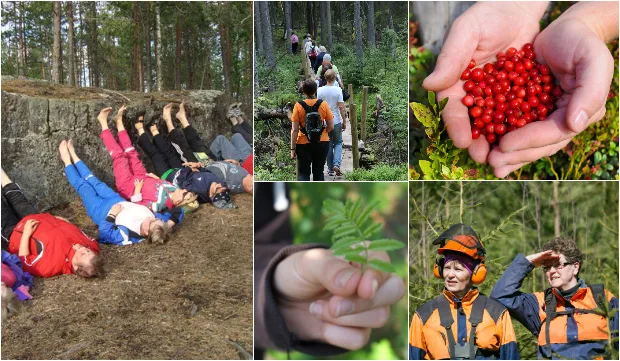 Metsakampanja kollaasi 0