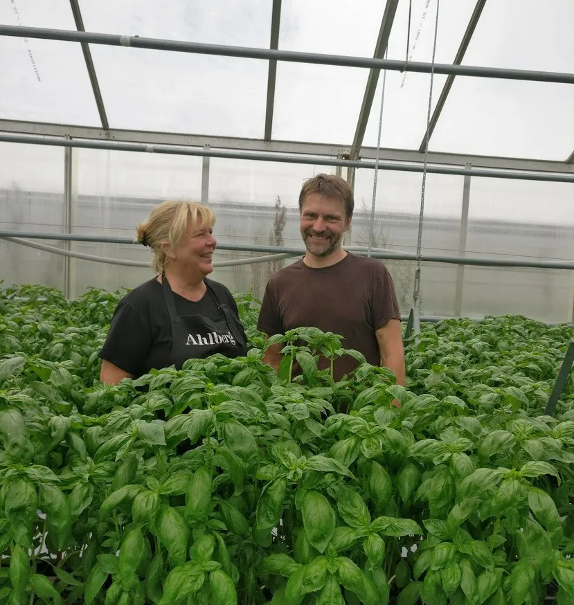 Minna kaijus ja basset ahlberg