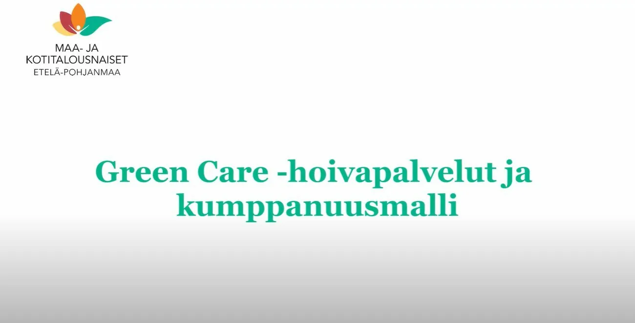 Nayttokuva 2020 12 31 085527