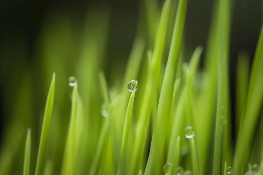 Nayttokuva 2021 11 29 110701