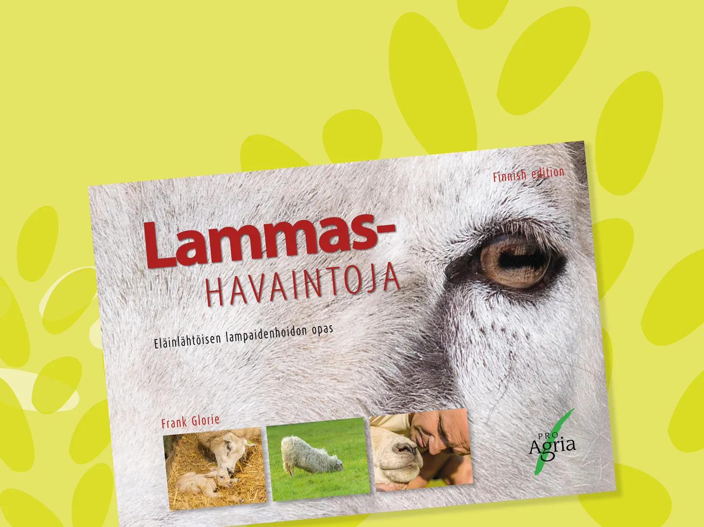 Nettikuva lammashavaint