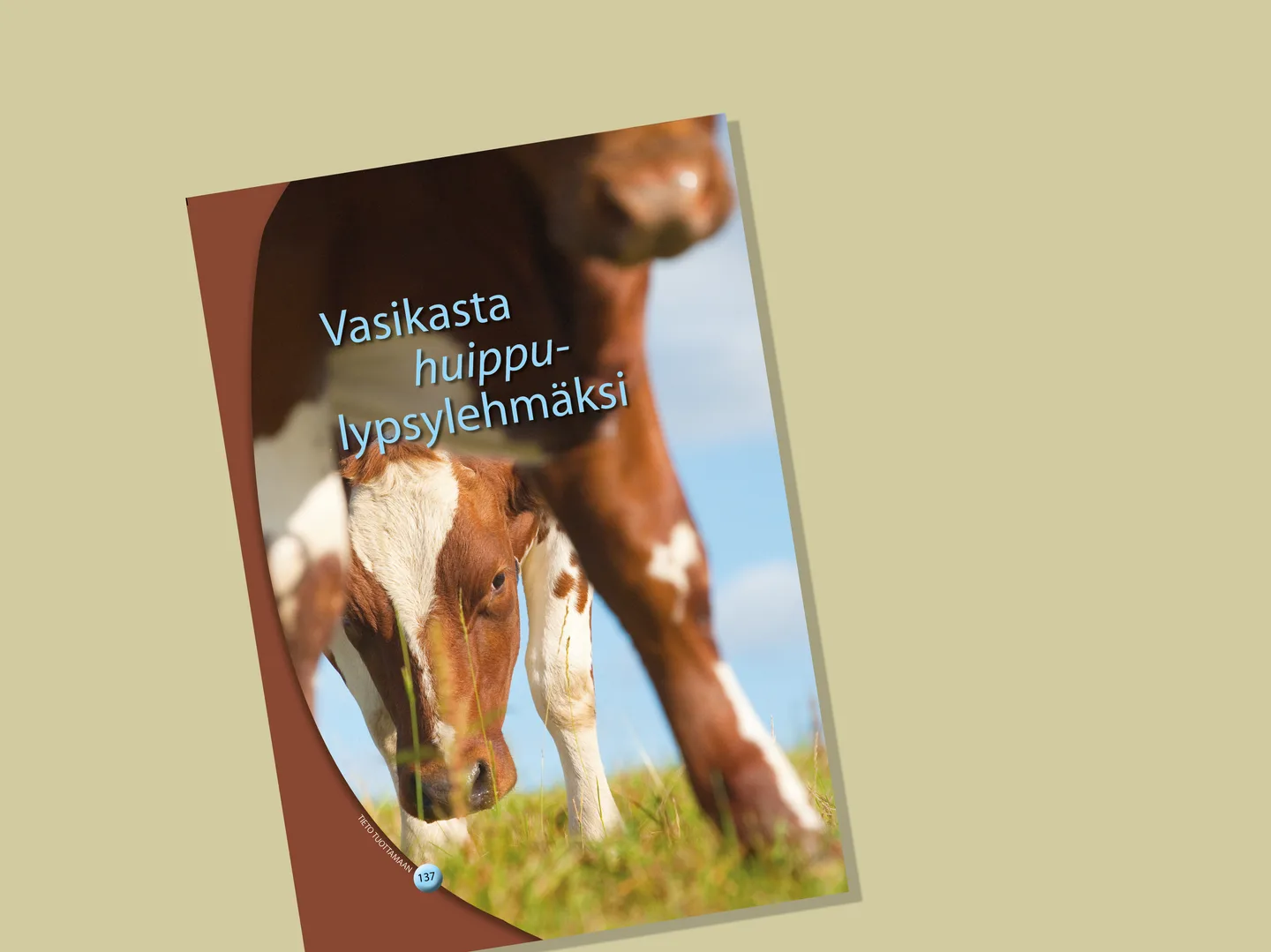 Nettikuva vasikka
