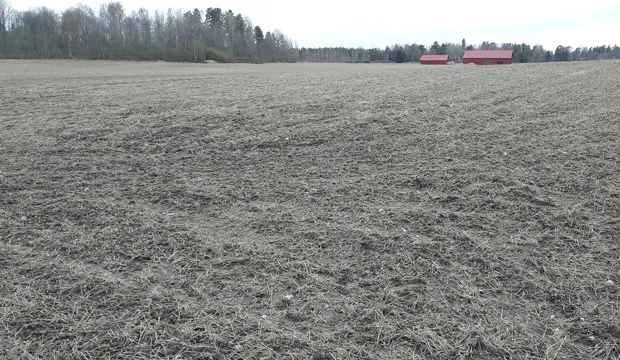 Nettisivuuutinenkasvutilanne0305