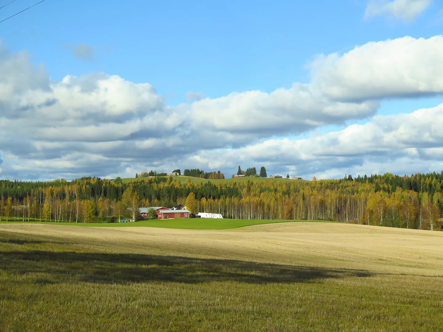 Nilsia sankimaki auli hirvonen 2018