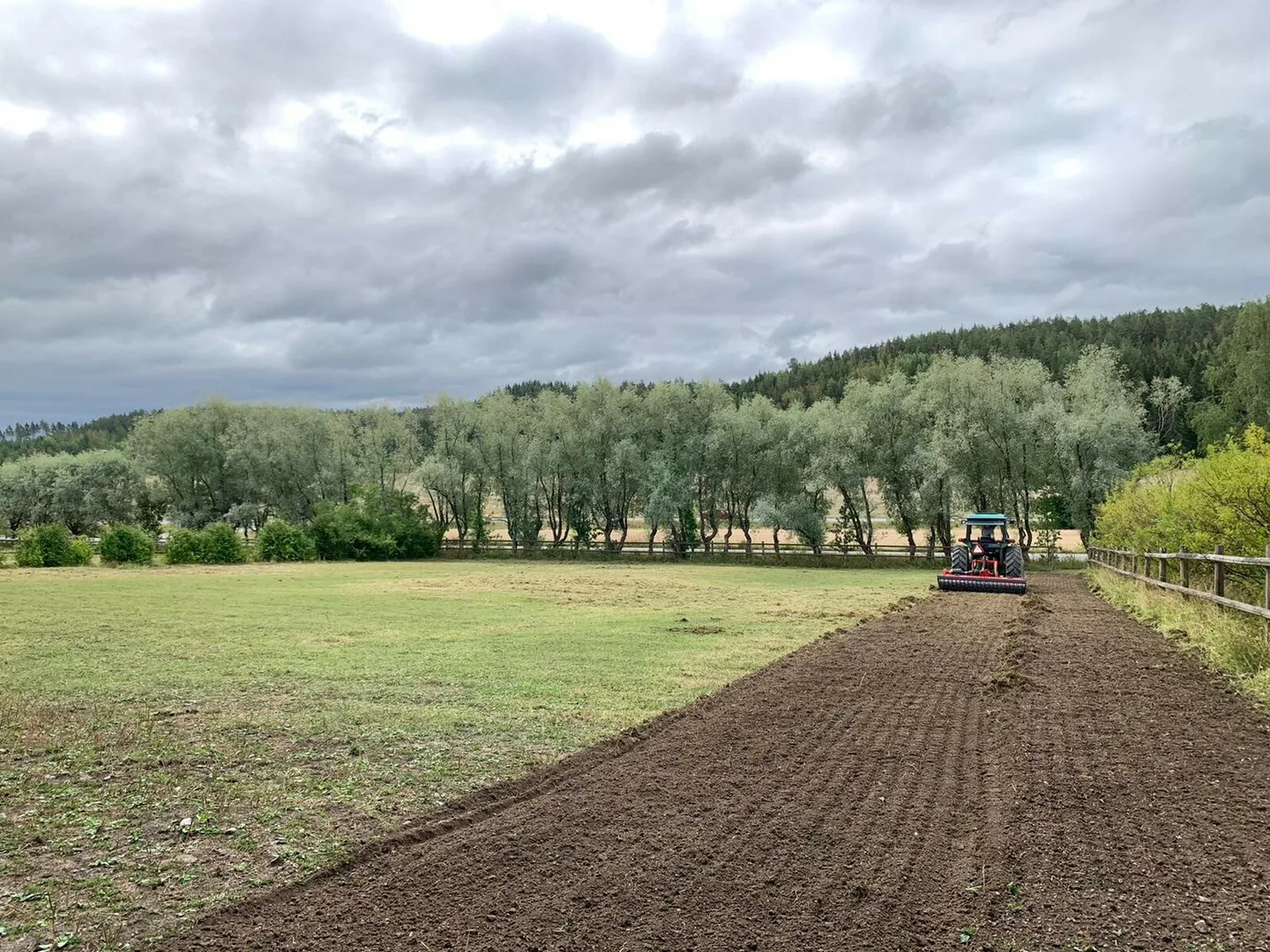 Nurmen perustaminen 1