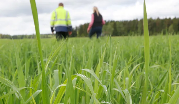 Nurmenlannoitusej 620x360