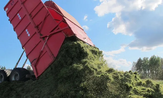 Nurmesta tulosta tunnus netti