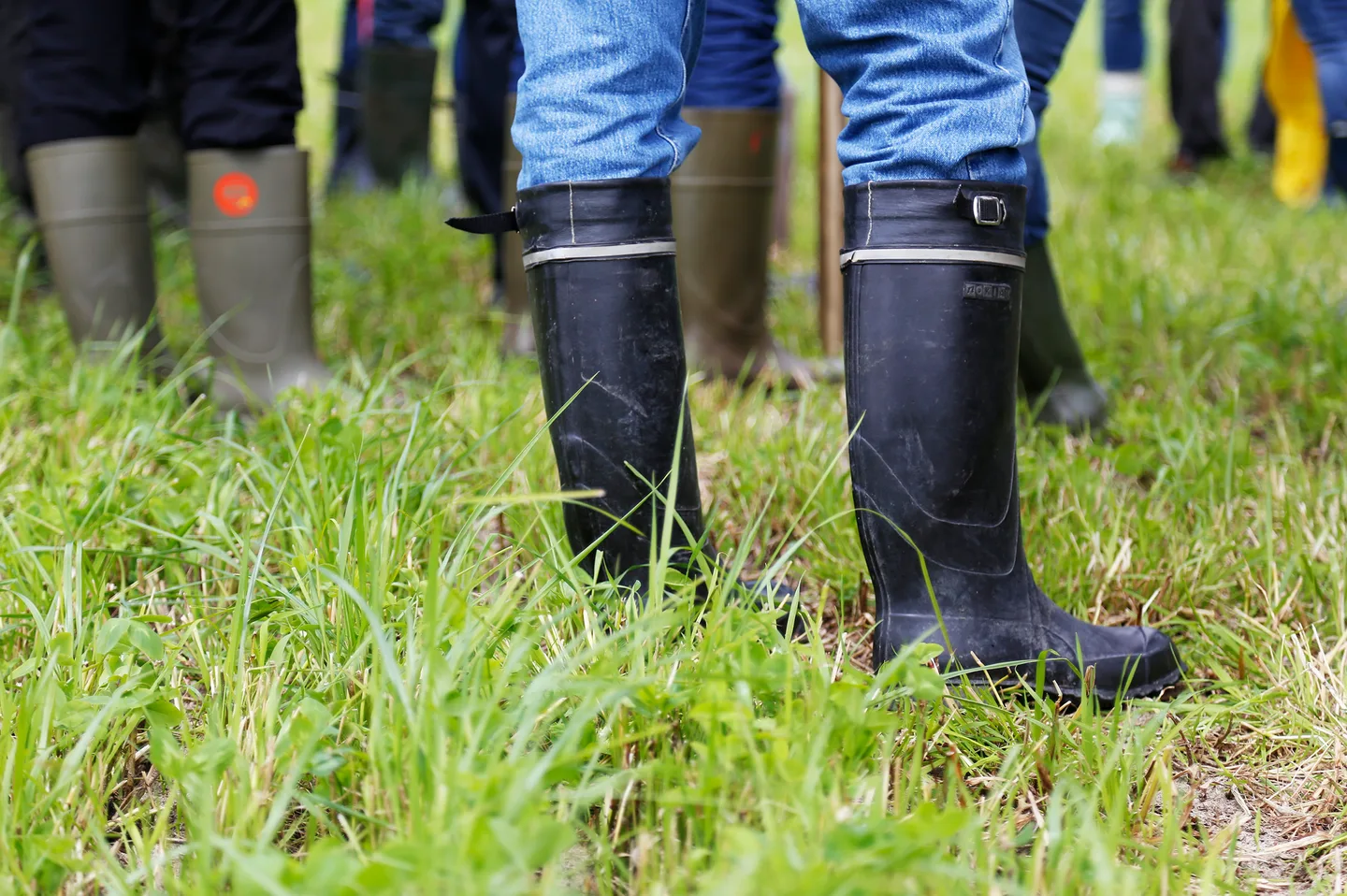 Nurmi ja saappaat essi jokela