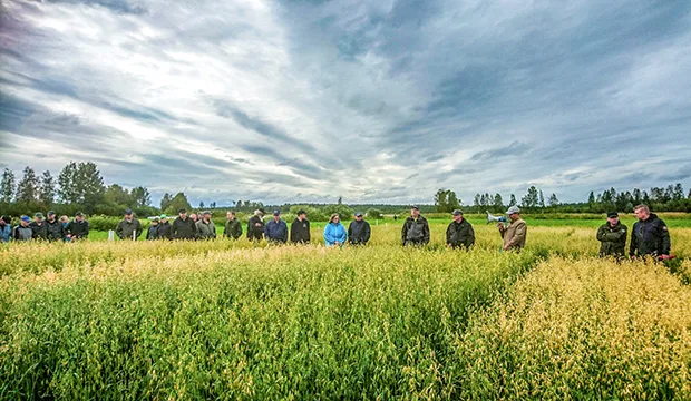 Kuva: Anna-Leena Vierimaa