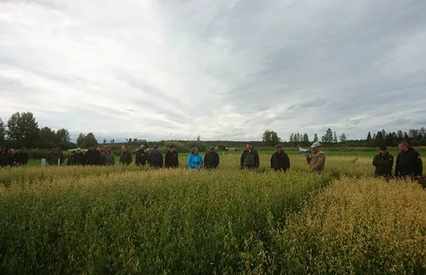 Pellonpiennar 620x400pix