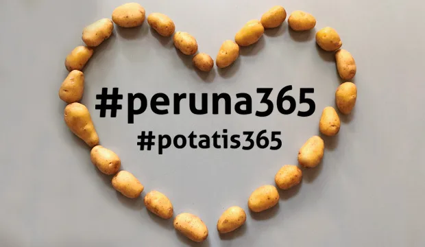 Peruna365artikkeli 0