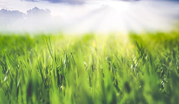 Proliideri 620x360 artikkeli