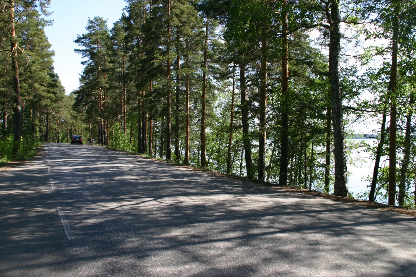 Näkymä Punkaharjun maisematieltä, kuva Leena Lahdenvesi-Korhonen