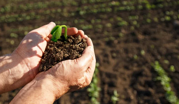 Ravinnehanke artikkelikuva620x360