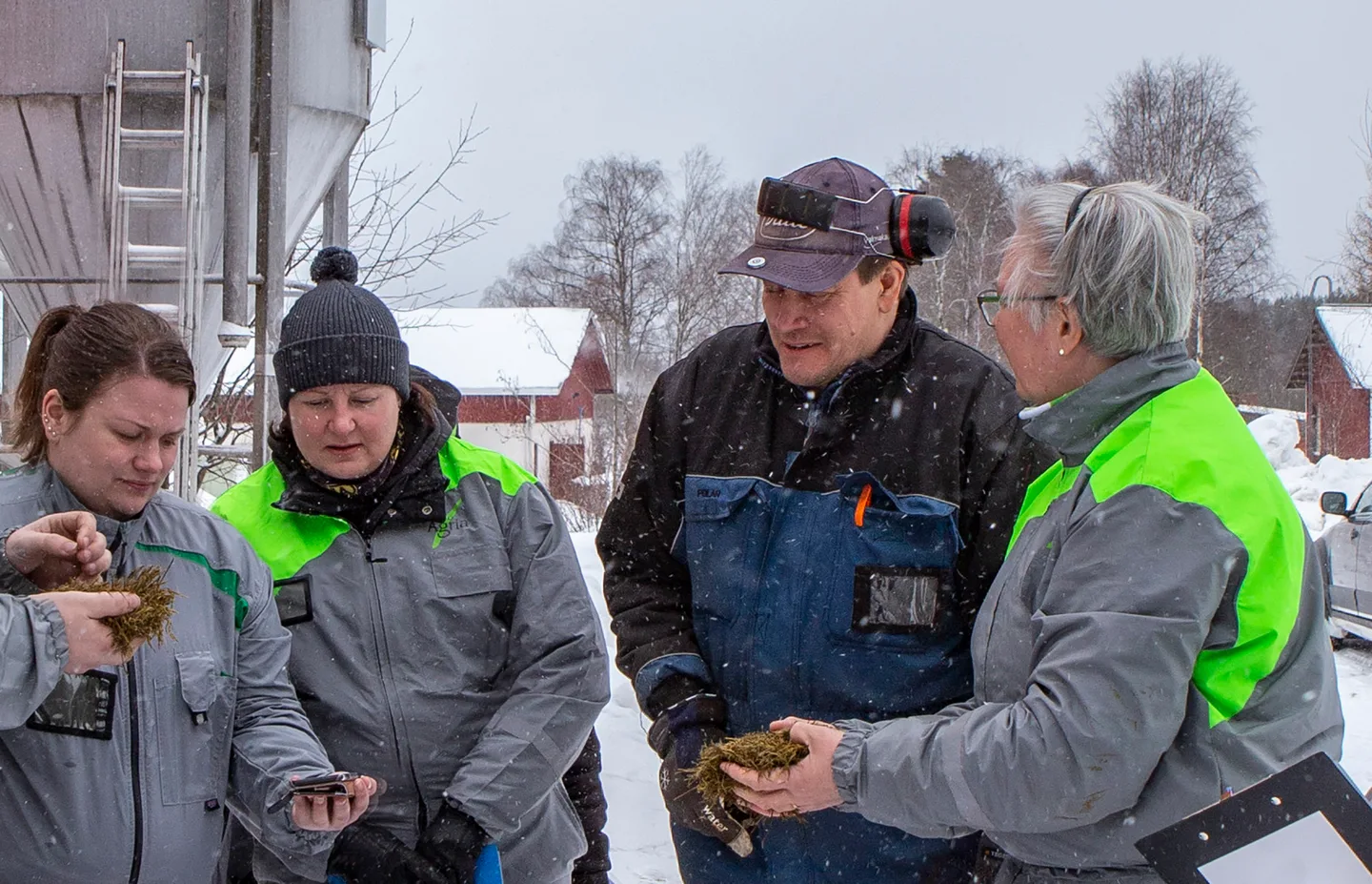 Rehuntuotannon kehittaminen