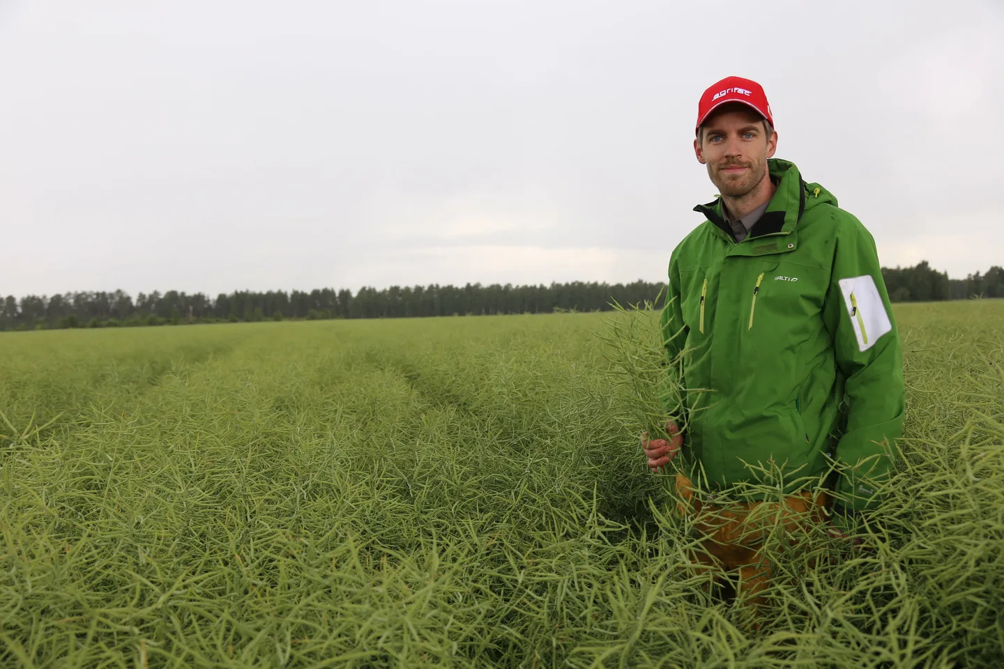 Risto Tupi teki syysrapsille mittauksia stipendin tuella.