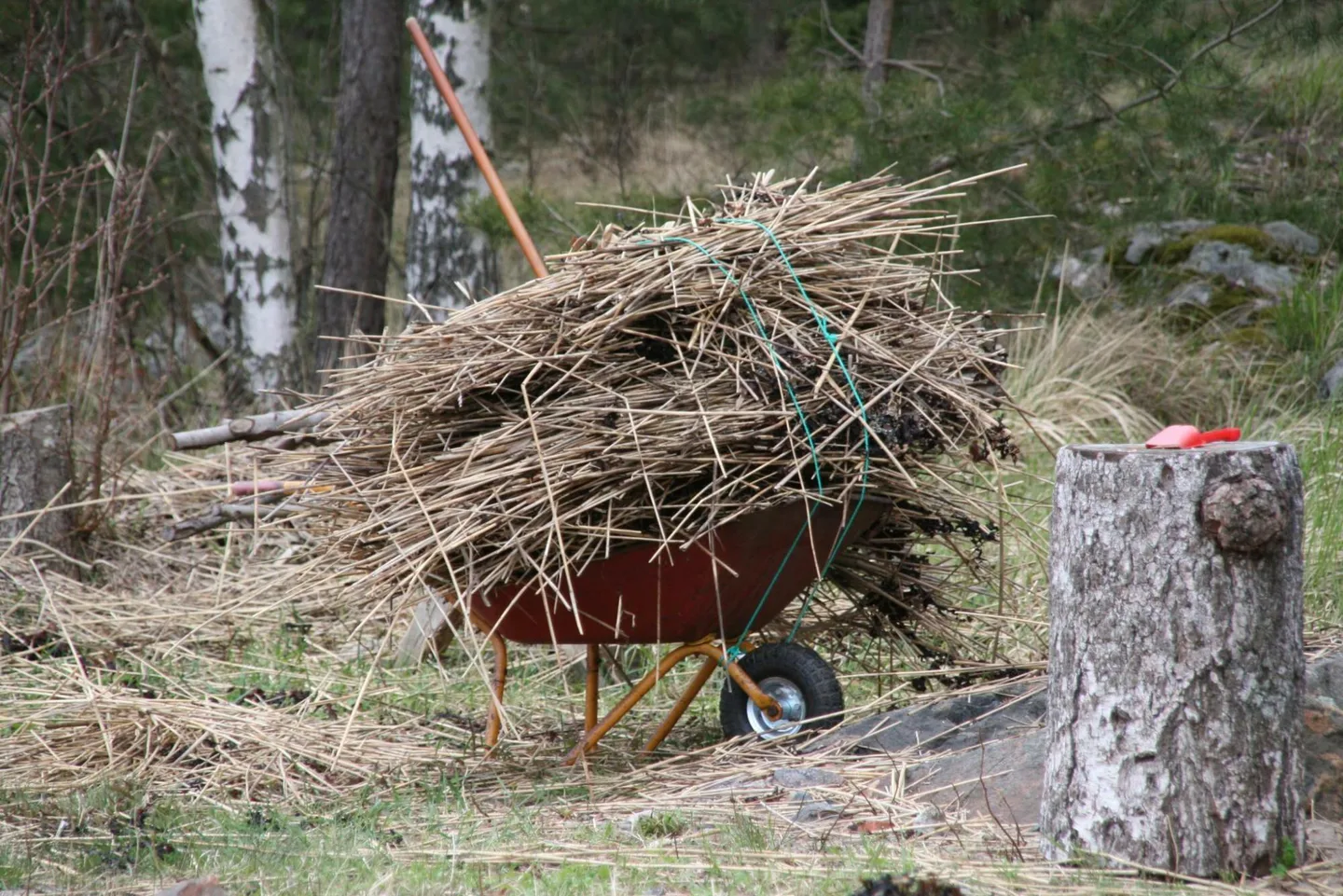 Ruovikko rannalta riitta liisa pettersson